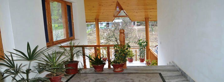 781/Venus Villa Cottages - Manali 02.jpg